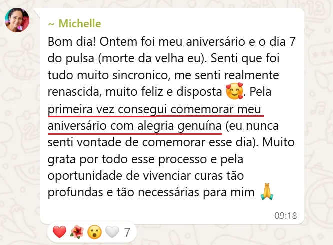 Depoimento Michelle Ferreira - Pulsa
